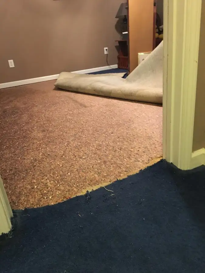 Carpet pad removal revealing water damage during Water Mitigation Services in Effingham