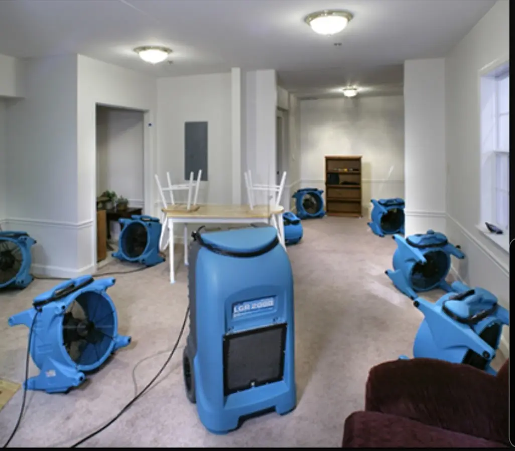 Air movers and dehumidifier setup for Water Extraction & Removal in Effingham